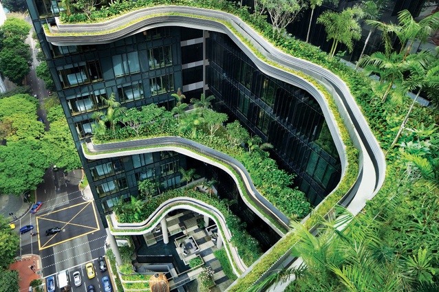 Design for Safety on Rooftop Greenery